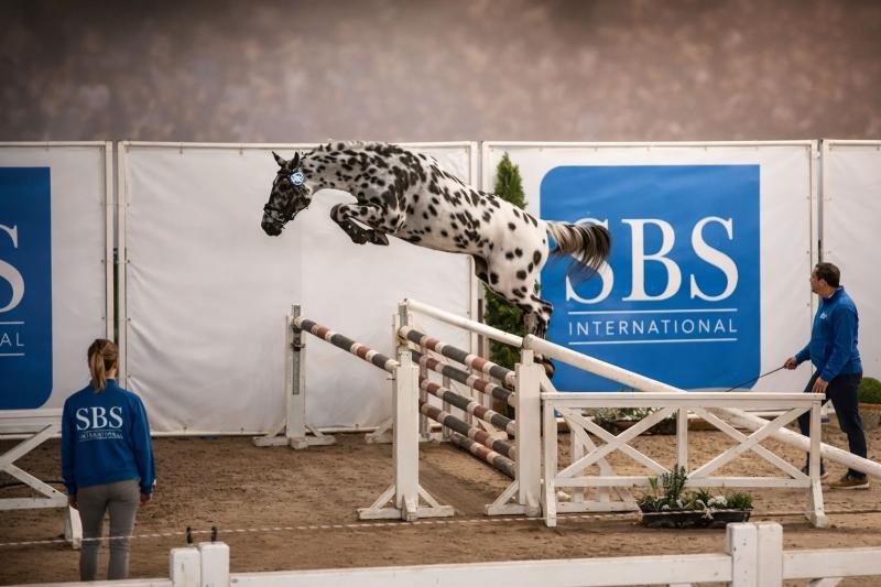 Tumavu l'Évidence Z, approbation du SBS, 28 février 2026