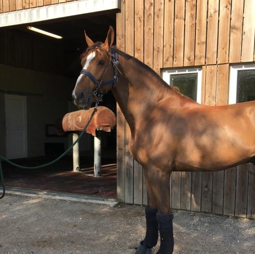 Faut-Il des 7 Vallons