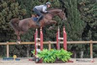 Faut-Il des 7 Vallons