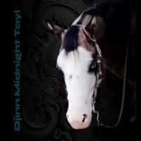 Djinn Midnight Tail