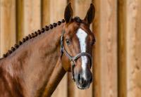 Faut-Il des 7 Vallons