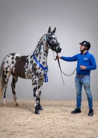 Tumavu l'Évidence Z, approbation du SBS, 28 février 2026