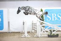 Tumavu l'Évidence Z