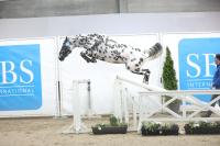 Tumavu l'Évidence Z